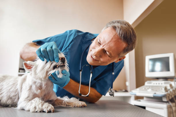 Best Emergency Wisdom Teeth Removal in Jemison, AL